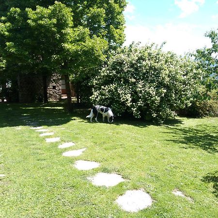 Casa Mezzuola Agriturismo Villa Greve in Chianti Kültér fotó