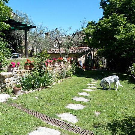 Casa Mezzuola Agriturismo Villa Greve in Chianti Kültér fotó