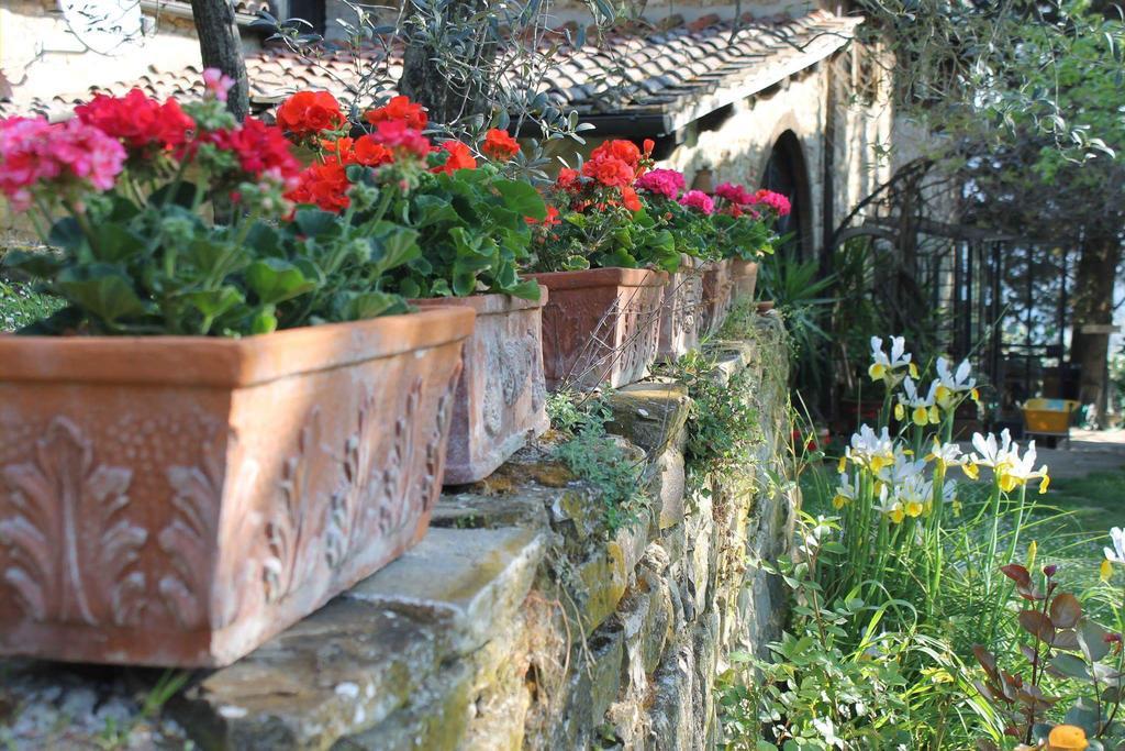 Casa Mezzuola Agriturismo Villa Greve in Chianti Kültér fotó