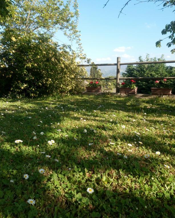 Casa Mezzuola Agriturismo Villa Greve in Chianti Kültér fotó