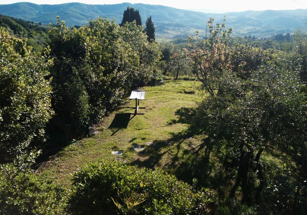 Casa Mezzuola Agriturismo Villa Greve in Chianti Kültér fotó