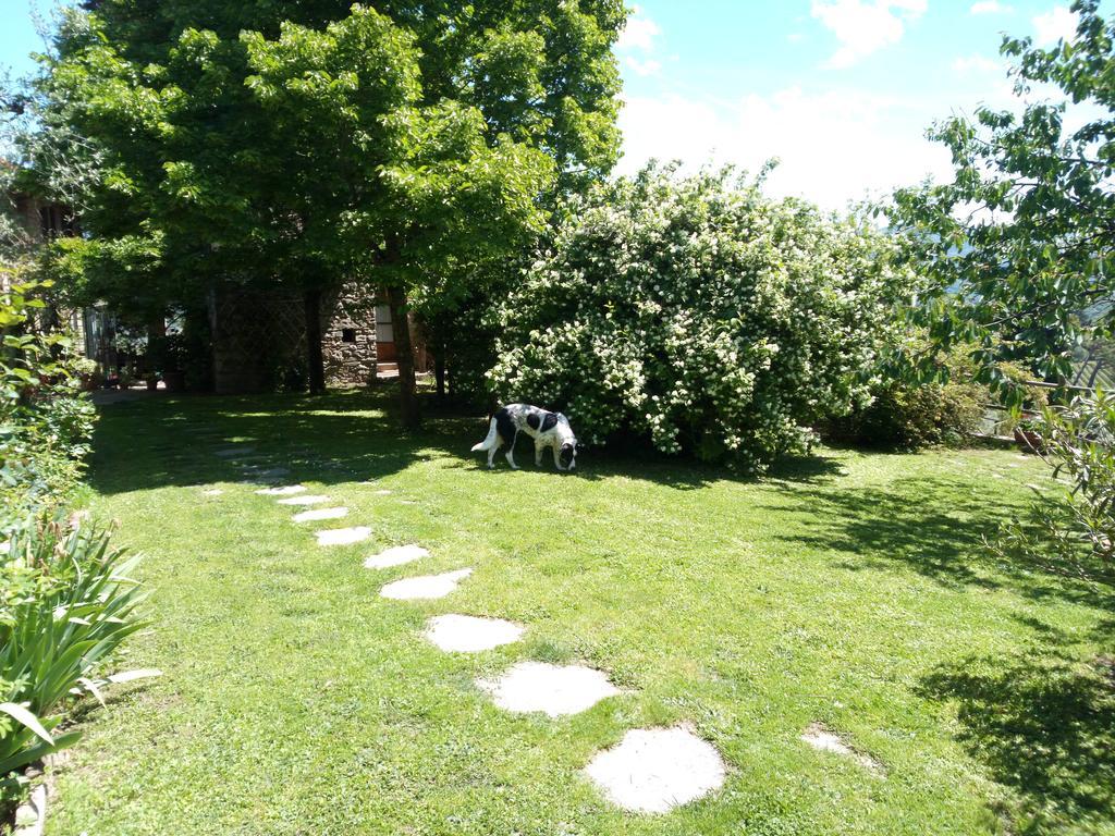 Casa Mezzuola Agriturismo Villa Greve in Chianti Kültér fotó