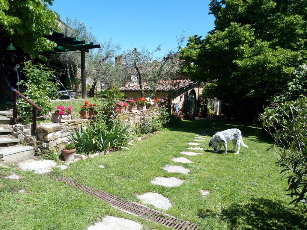 Casa Mezzuola Agriturismo Villa Greve in Chianti Kültér fotó